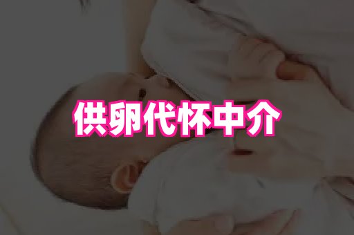 nub孕网 4